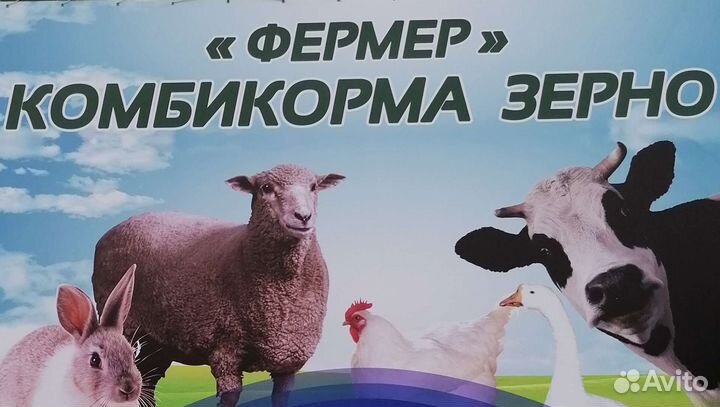 Продавец