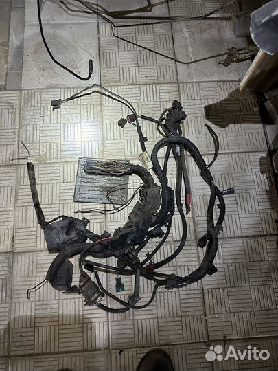 Электропроводка Форд Фиеста мк 5