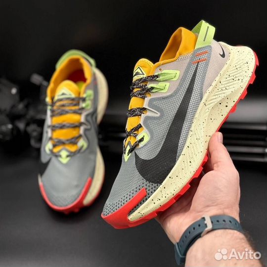 Кроссовки мужские Nike Pegasus
