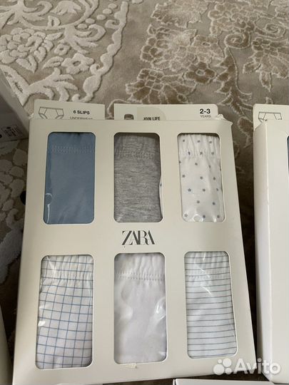 Боди,трусы Zara