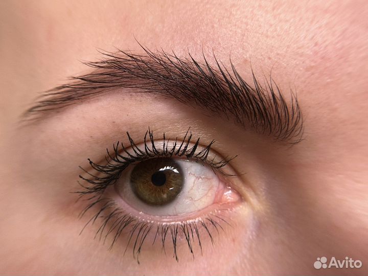 Ищу модель бесплатно