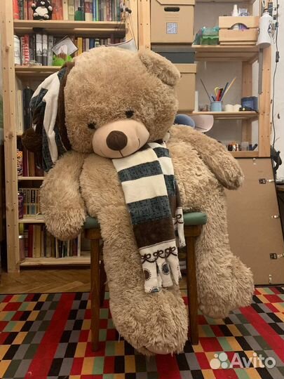 Большой медведь