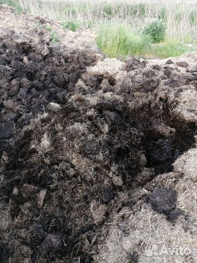 Перегной в мешках с доставкой