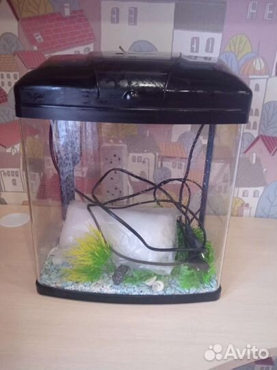 Аквариум