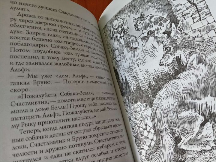 Эрин Хантер Хроники стаи 1