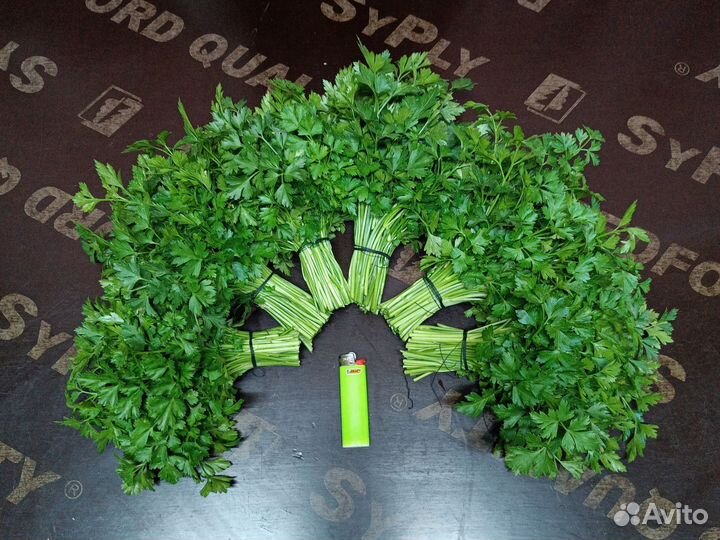 Петрушка свежая