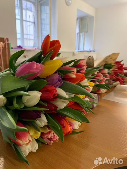 Тюльпаны к 8 марта розница