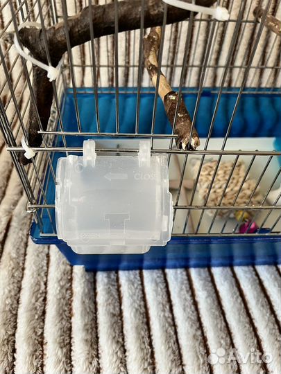 Клетка для попугая