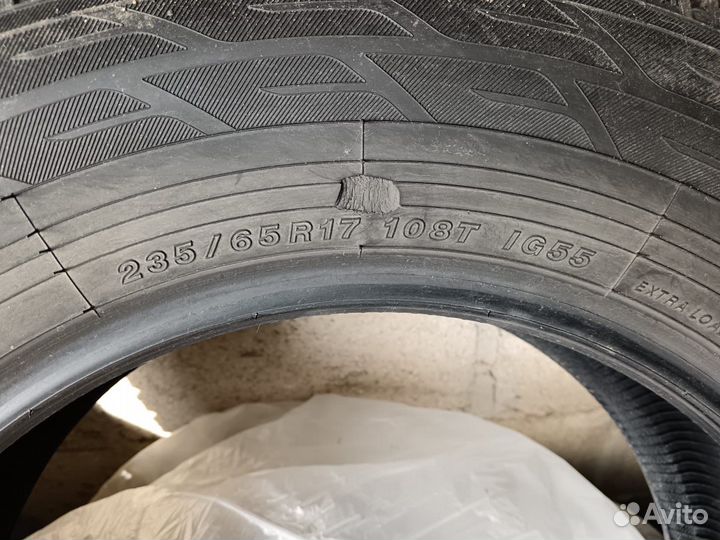 Зимние шипы