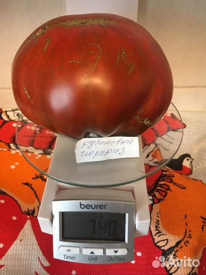 Семена томатов