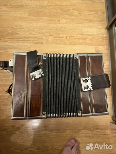 Гармонь Бр.Потехины