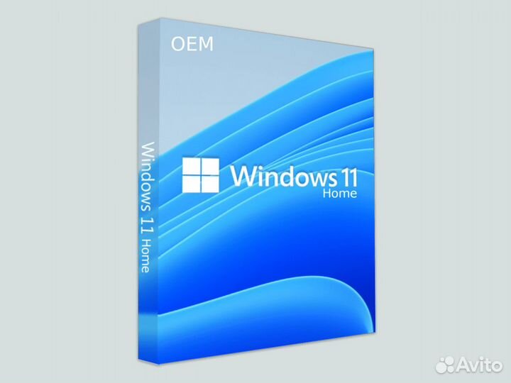 Windows 11 home OEM тип лицензии