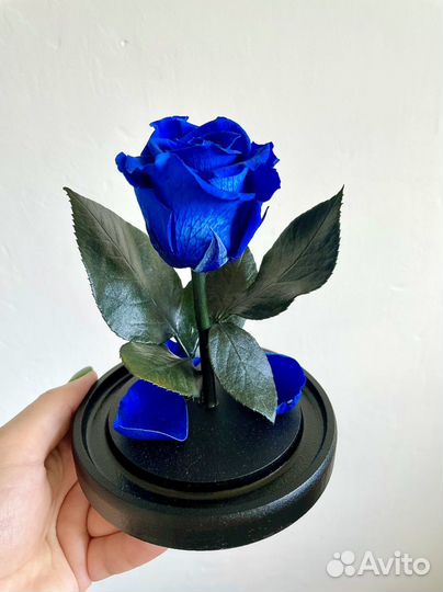 Роза в колбе