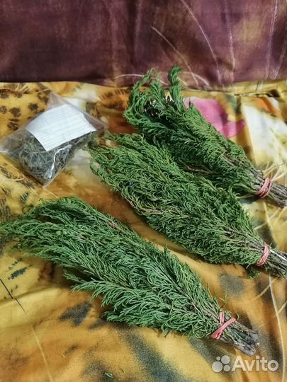 Веники из 