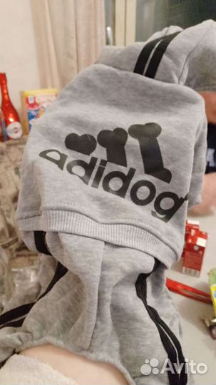 Костюм для собаки