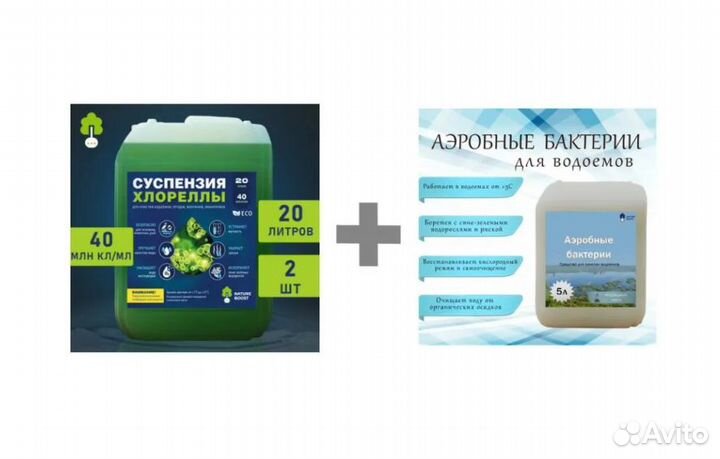 Хлорелла и бактерии для пруда