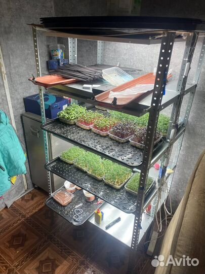 Стеллаж для микрозелени