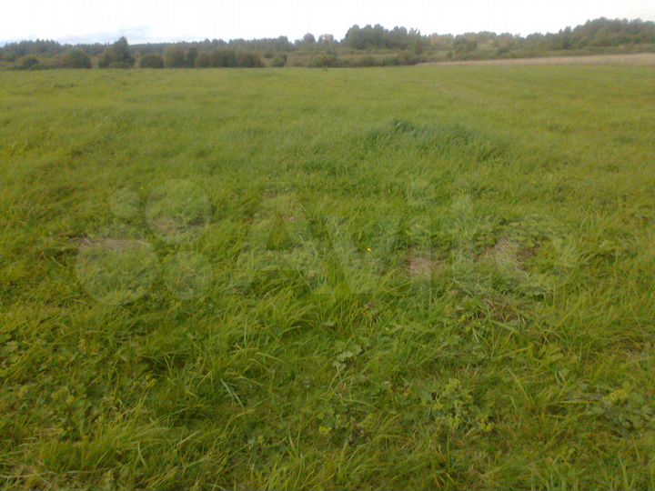 Участок 83 сот. (ИЖС)