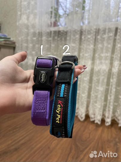 Амуниция для собак