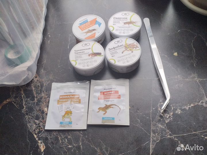 Пятнистый эублефар