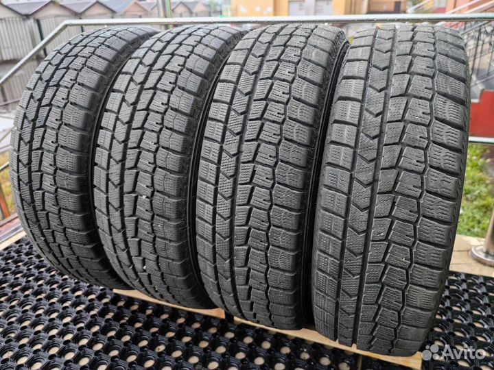 Dunlop SP Winter Maxx WM01 175/65 R14