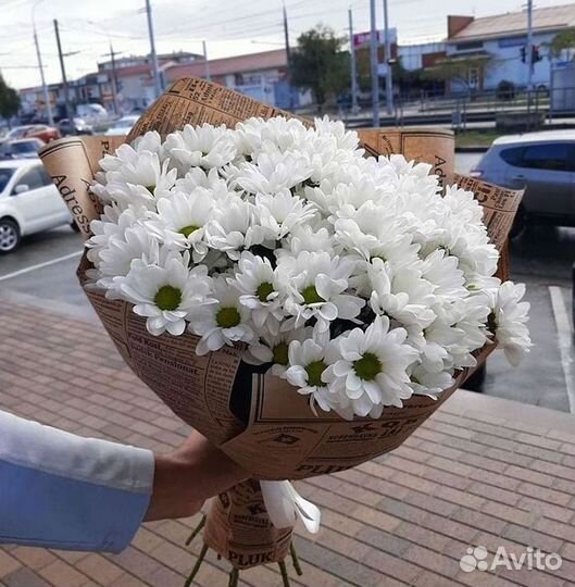 Хризантема Доставка цветов Букеты