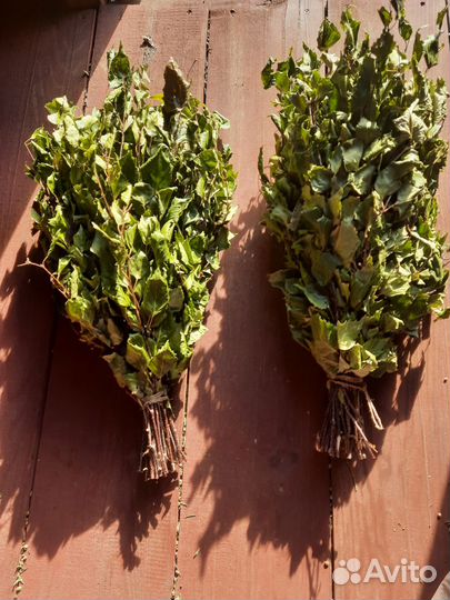 Березовые веники