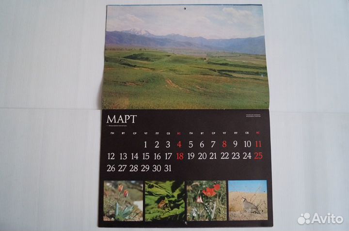 Календарь 