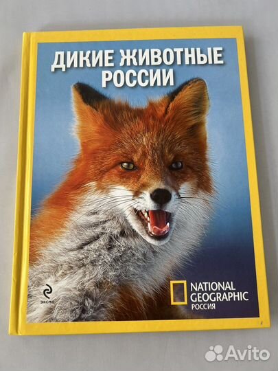 Энциклопедия животные