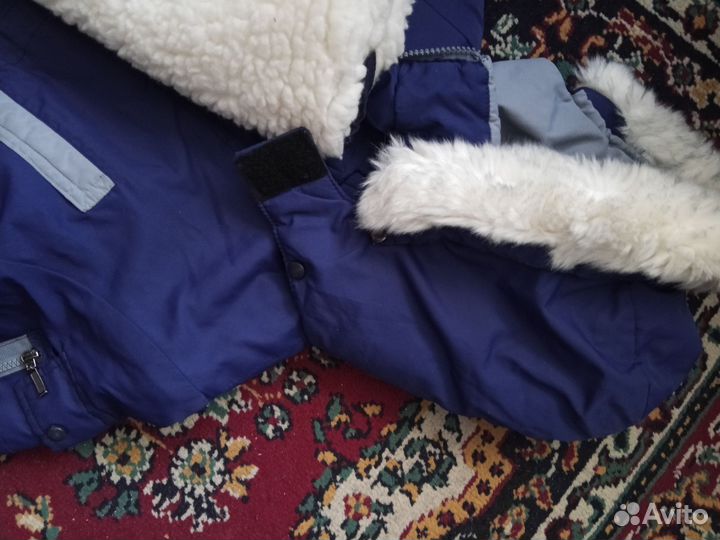 Куртка + полукомбинезон
