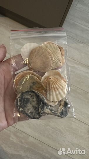 Творчество