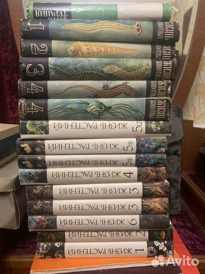 Жизнь животных и жизнь растений