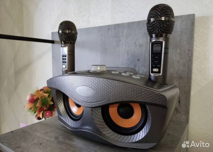 Караоке система колонка sdrd SD-306 plus