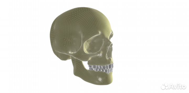 3D модель череп человека (файл)