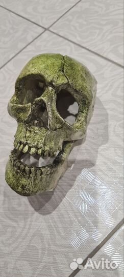 Декор для аквариума