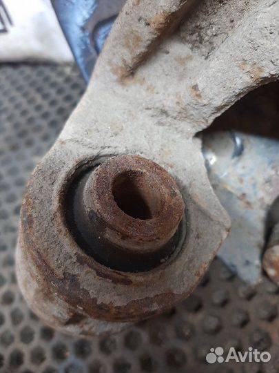 Кулак (цапфа) задний левый Suzuki Grand Vitara