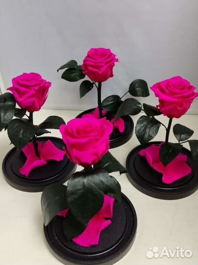 Розы оптом