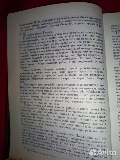 Генрих Манн - Молодые годы короля Генриха IV