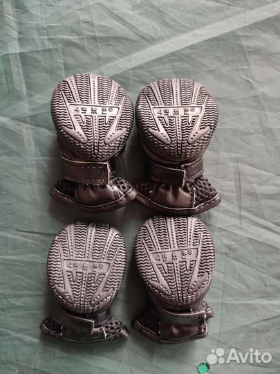 Ботиночки для собак мелких пород