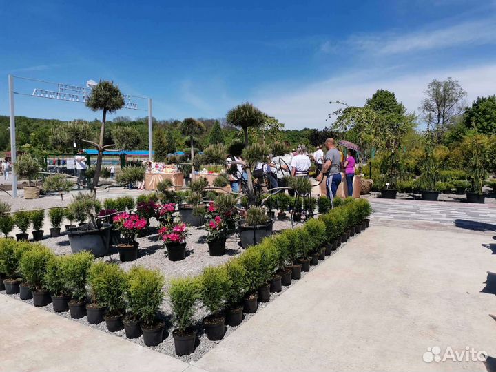 Работа агроном