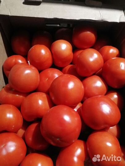 Огурцы агро и помидоры