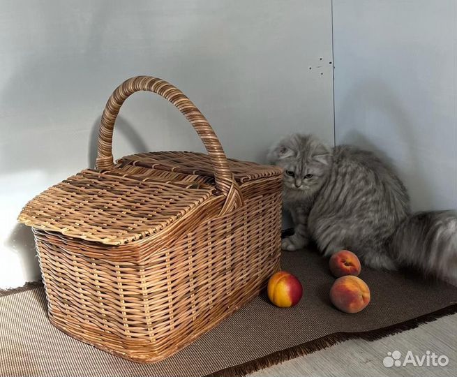 Корзина для пикника плетёная