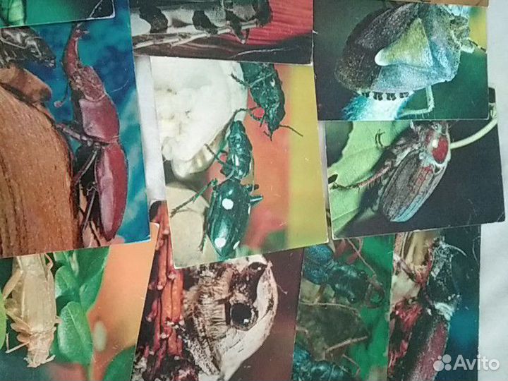 Открытки СССР