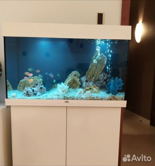 Чистка, оформление, перевозка аквариума