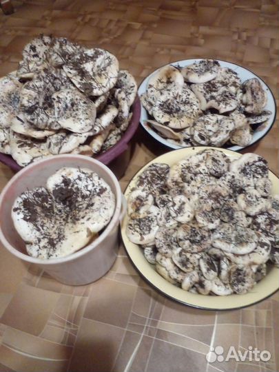 Грибы грузди свежие