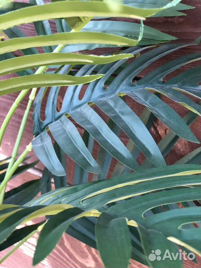 Искусственная пальма