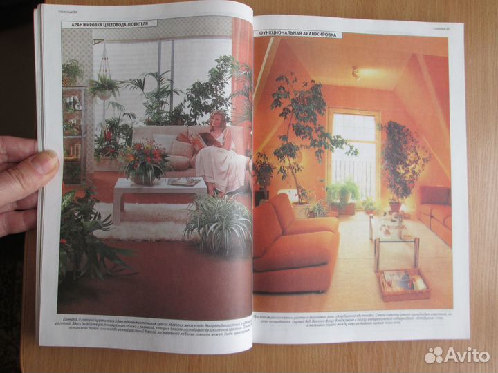 Всё о комнатных растениях