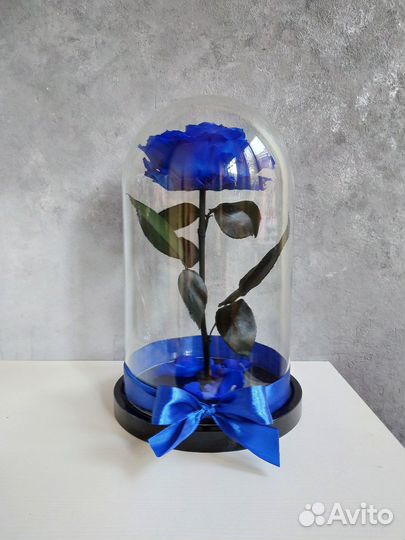 Роза в полбе от производителя