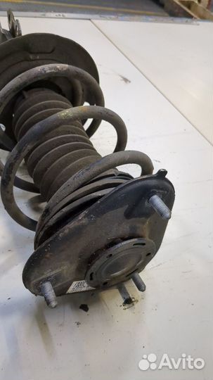 Амортизатор подвески Toyota Prius, 2019