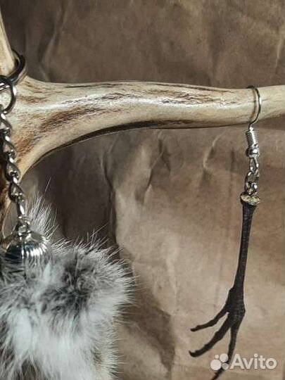 Лапка птички